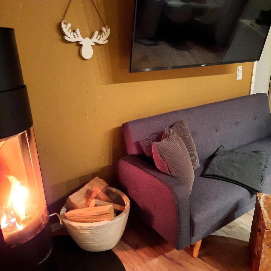 Business-Lodging Apartmenthaus Höhr-Grenzhausen المظهر الخارجي الصورة
