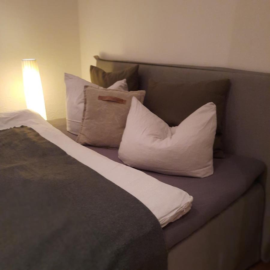 Business-Lodging Apartmenthaus Höhr-Grenzhausen المظهر الخارجي الصورة